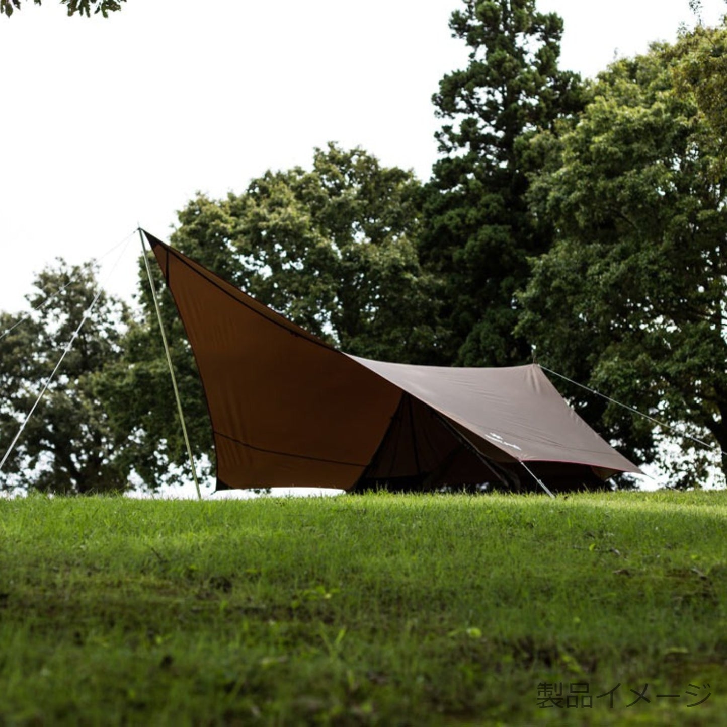 ヘキサイーズ 1 (SDI-101)