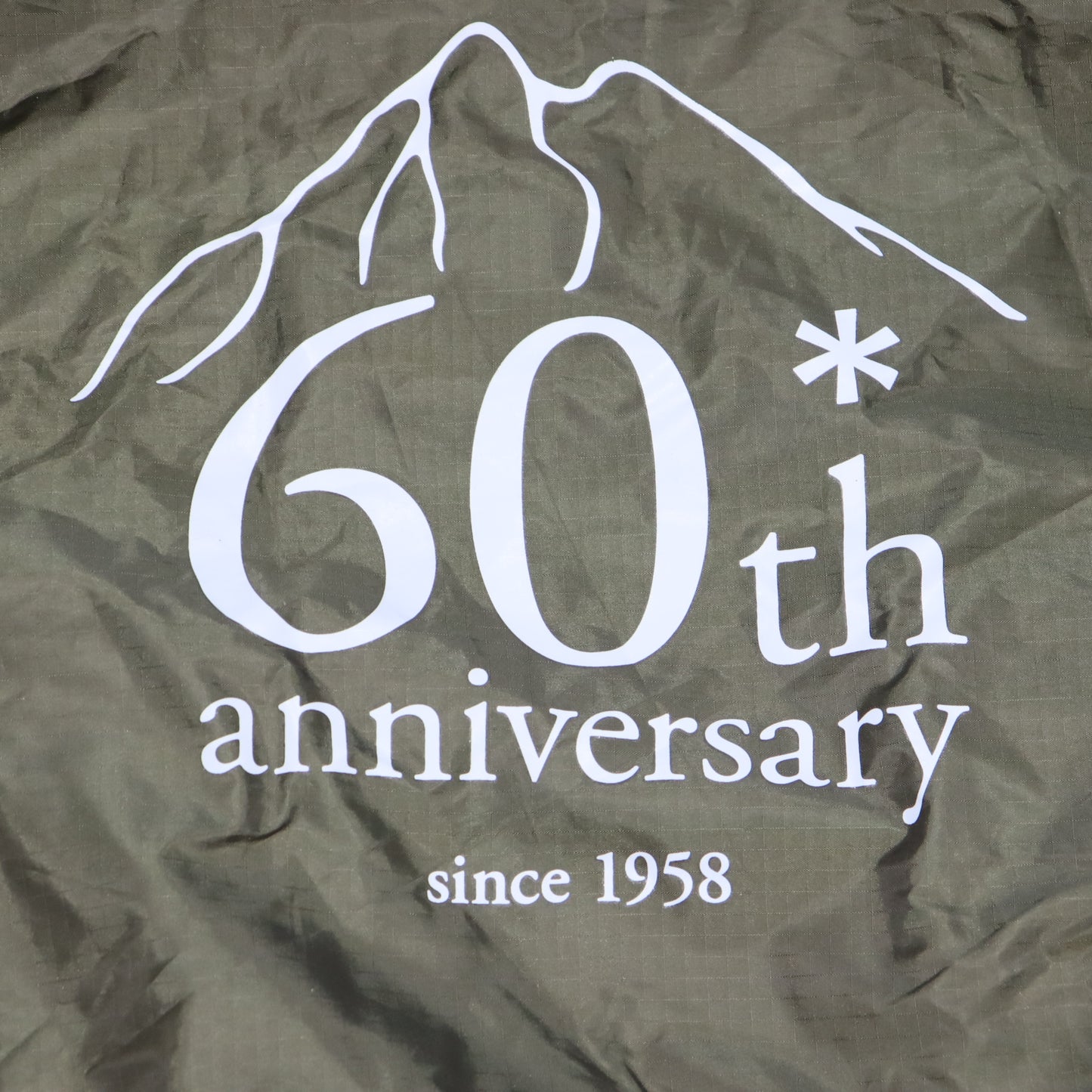 60周年記念アメニティドームPro.M (SDE-110)