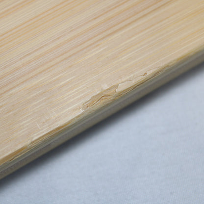 エントリーIGT (CK-080R)