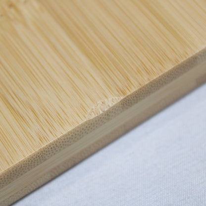 エントリーIGT (CK-080R)