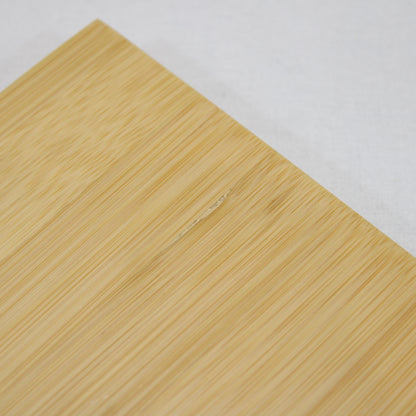 エントリーIGT (CK-080R)