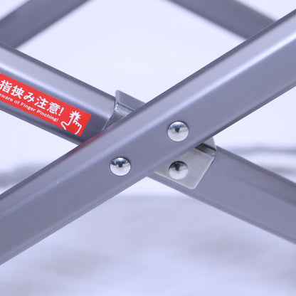 リクライニングチェアワイド (LV-400)