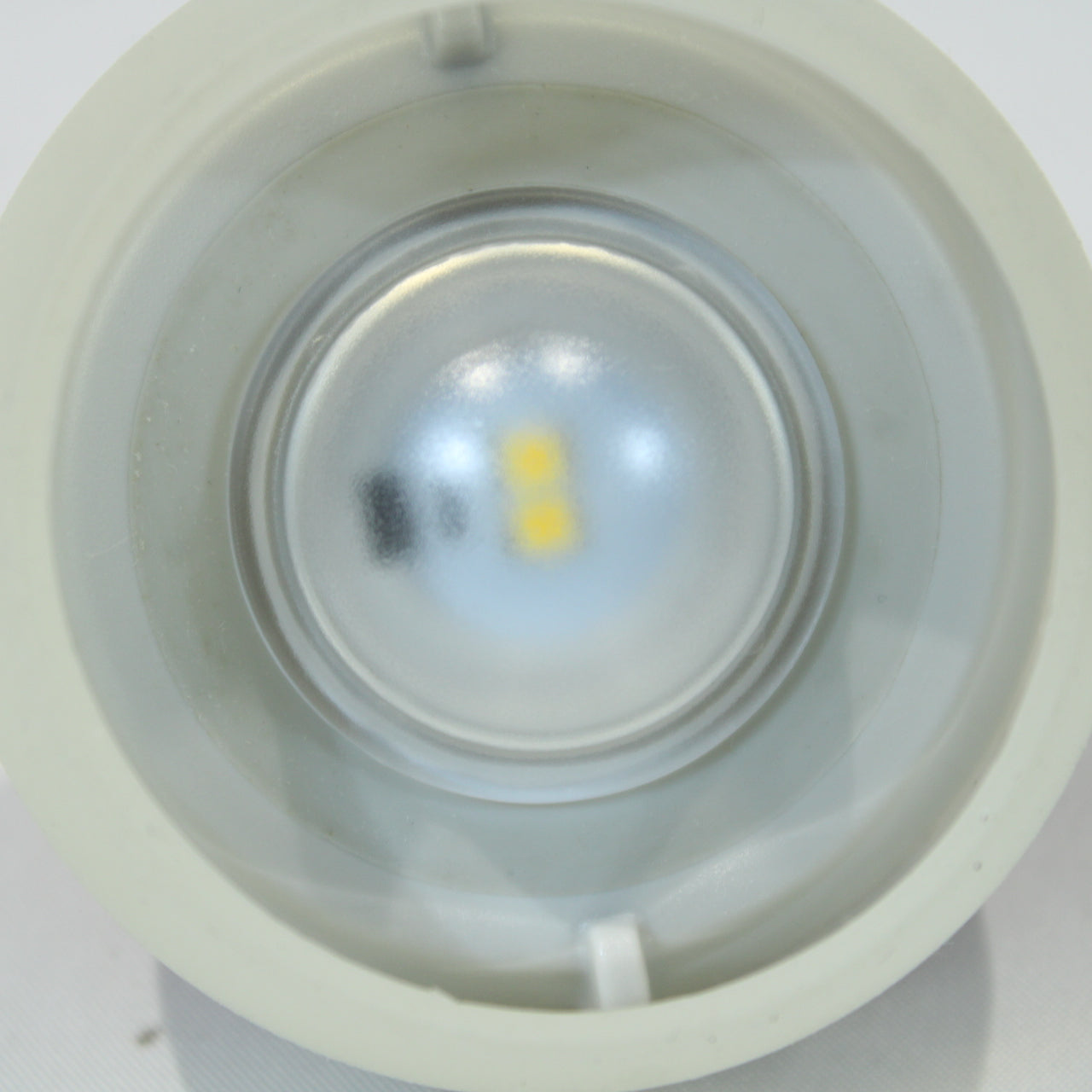 たねほおずき たねび (FES-441-OR)