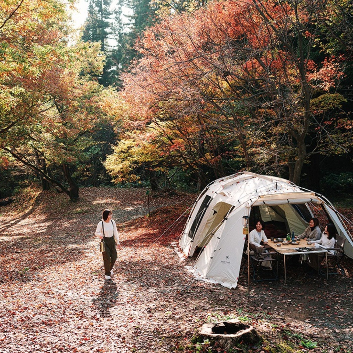 ランドロックアイボリー (TP-671IV)